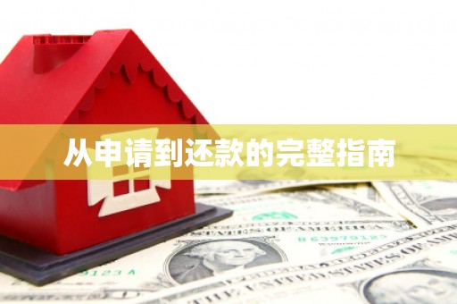金阳从申请到还款的完整指南