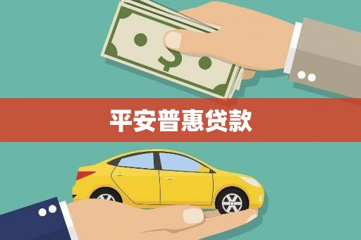 金阳平安普惠贷款