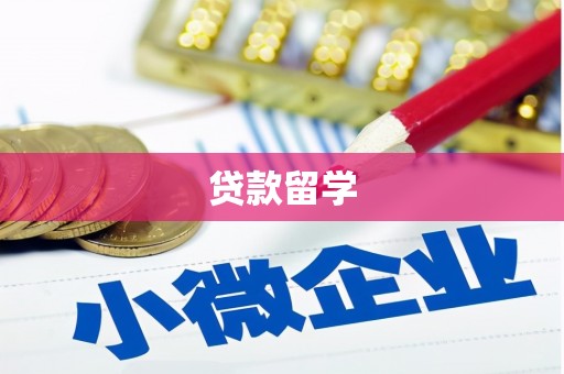 金阳贷款留学