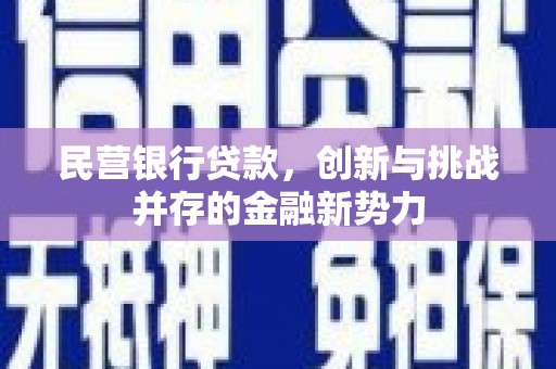 金阳民营银行贷款，创新与挑战并存的金融新势力