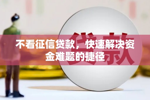 金阳不看征信贷款，快速解决资金难题的捷径
