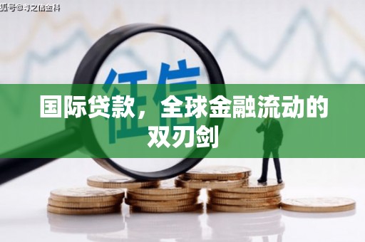 金阳国际贷款，全球金融流动的双刃剑
