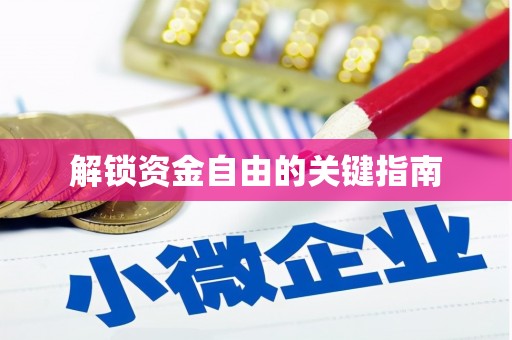 金阳解锁资金自由的关键指南