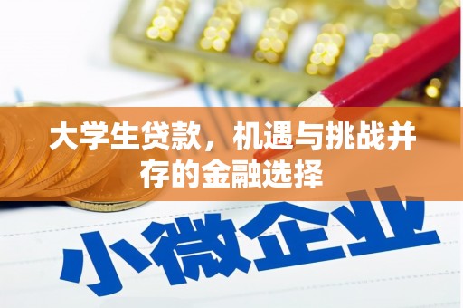 金阳大学生贷款，机遇与挑战并存的金融选择