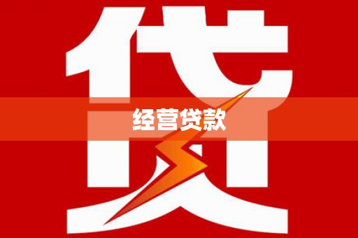 金阳经营贷款