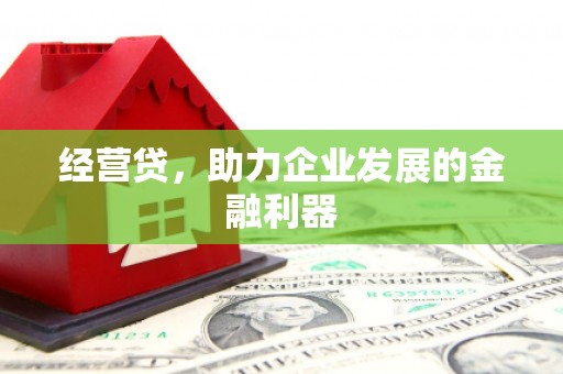 金阳经营贷，助力企业发展的金融利器