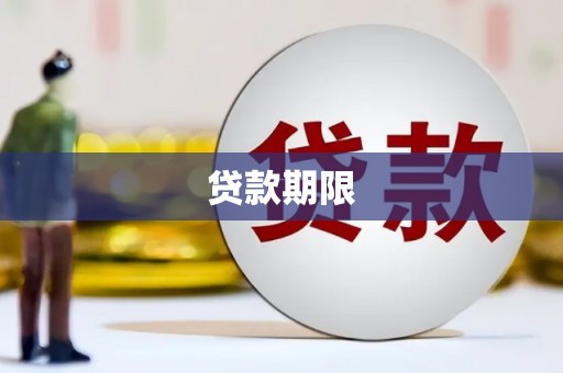 金阳贷款期限