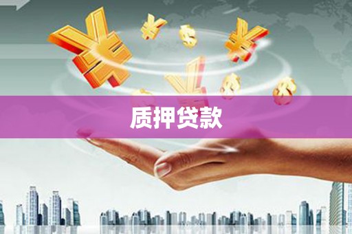 金阳质押贷款