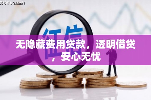 金阳无隐藏费用贷款，透明借贷，安心无忧
