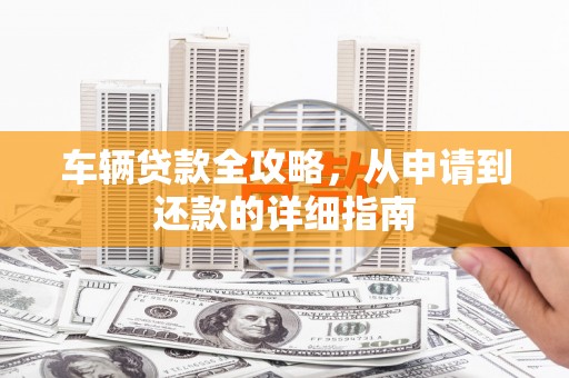 金阳车辆贷款全攻略，从申请到还款的详细指南