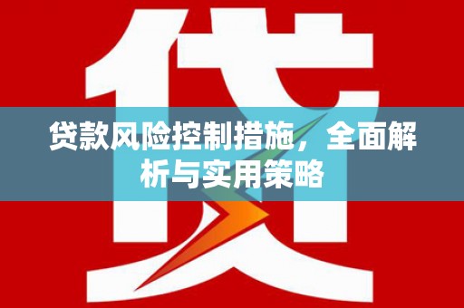 金阳贷款风险控制措施，全面解析与实用策略