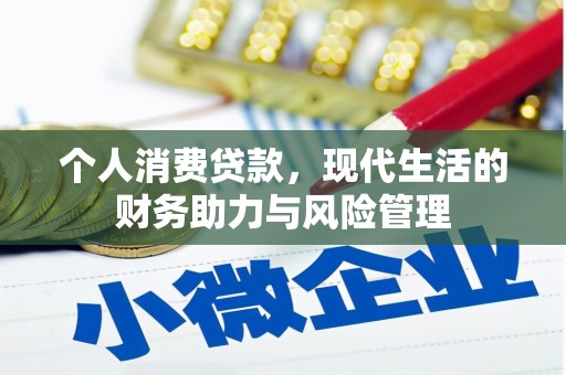 金阳个人消费贷款,现代生活的财务助力与风险管理 金阳个人消费贷款,现代生活的财务助力与风险管理