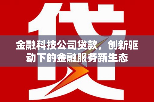 金阳金融科技公司贷款，创新驱动下的金融服务新生态