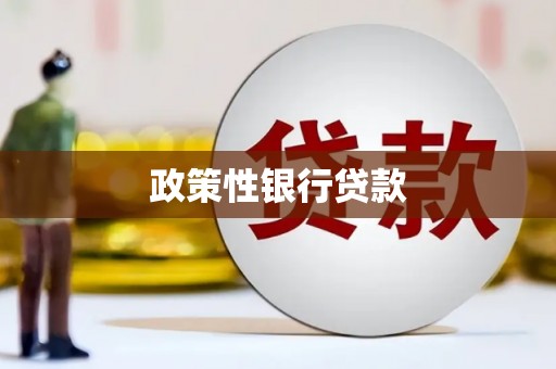 金阳政策性银行贷款