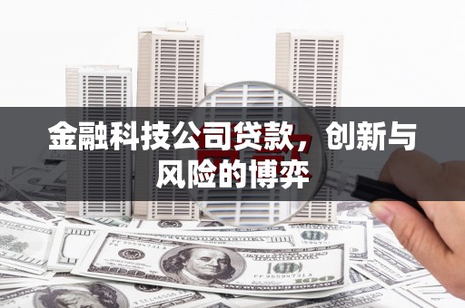 金阳金融科技公司贷款，创新与风险的博弈