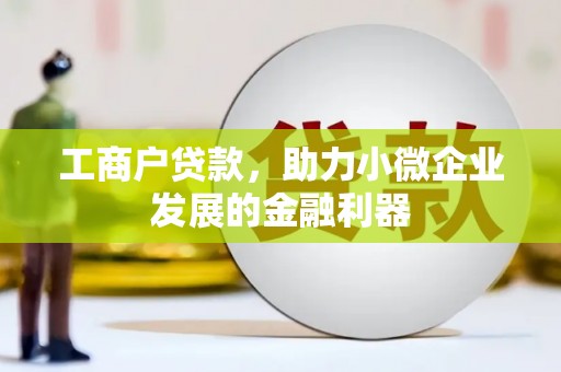 金阳工商户贷款，助力小微企业发展的金融利器