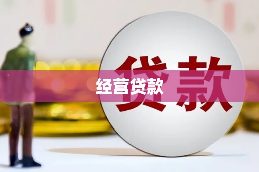 金阳经营贷款