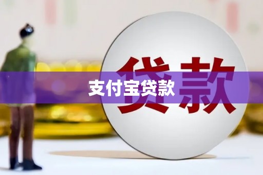 金阳支付宝贷款