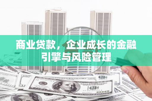 金阳商业贷款，企业成长的金融引擎与风险管理