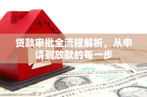 金阳贷款审批全流程解析，从申请到放款的每一步