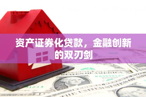 金阳资产证券化贷款，金融创新的双刃剑