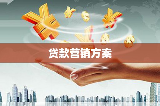 金阳贷款营销方案