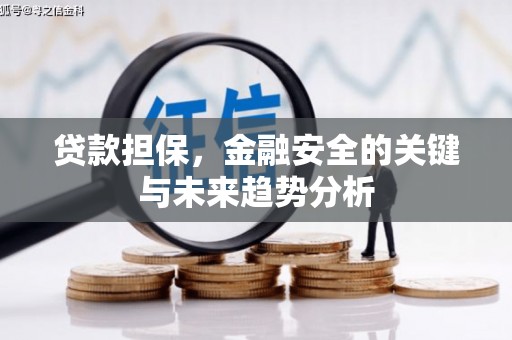 金阳贷款担保，金融安全的关键与未来趋势分析