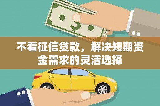 金阳不看征信贷款，解决短期资金需求的灵活选择