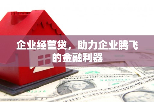 金阳企业经营贷，助力企业腾飞的金融利器