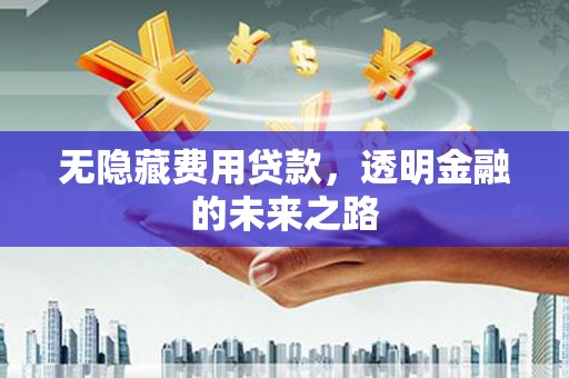 金阳无隐藏费用贷款，透明金融的未来之路