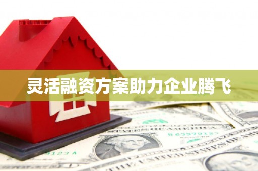 金阳灵活融资方案助力企业腾飞