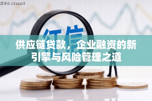 金阳供应链贷款，企业融资的新引擎与风险管理之道