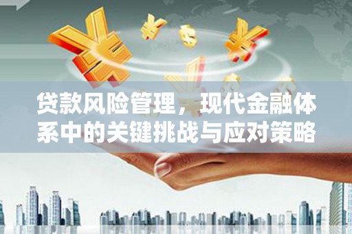 金阳贷款风险管理，现代金融体系中的关键挑战与应对策略