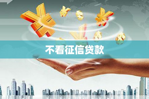 金阳不看征信贷款