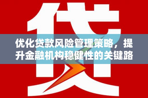 金阳优化贷款风险管理策略，提升金融机构稳健性的关键路径