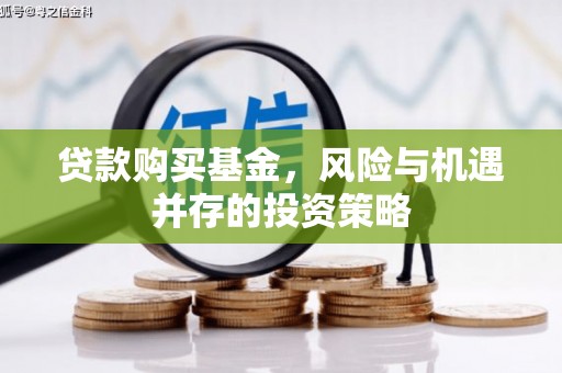 金阳贷款购买基金，风险与机遇并存的投资策略
