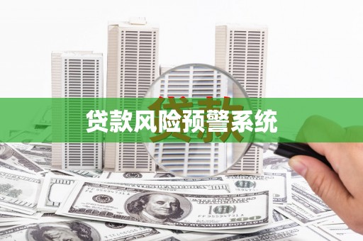 金阳贷款风险预警系统