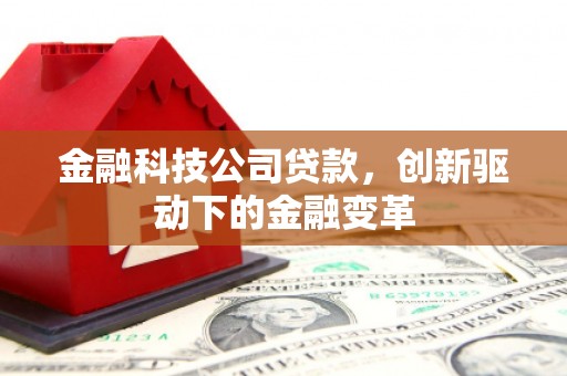 金阳金融科技公司贷款，创新驱动下的金融变革