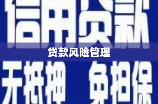 金阳贷款风险管理