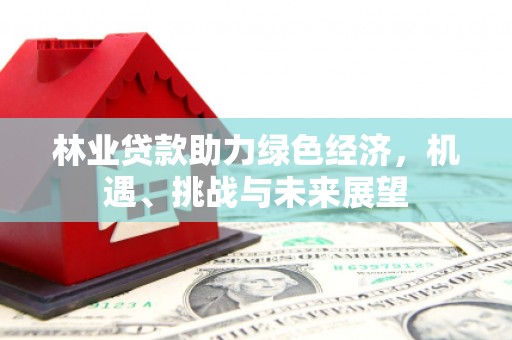 金阳林业贷款助力绿色经济，机遇、挑战与未来展望