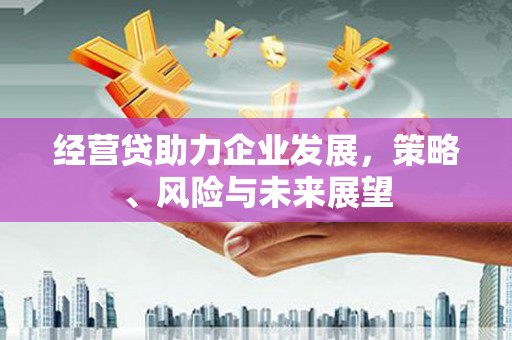 金阳经营贷助力企业发展，策略、风险与未来展望