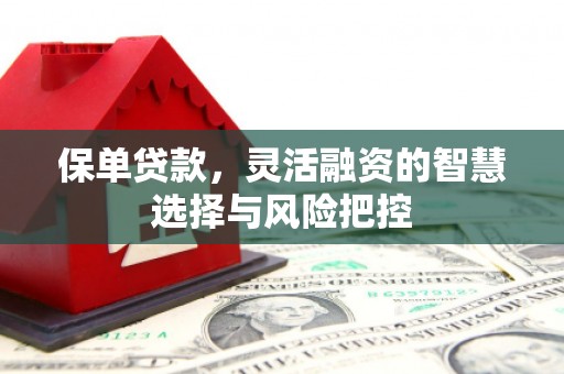 金阳保单贷款，灵活融资的智慧选择与风险把控