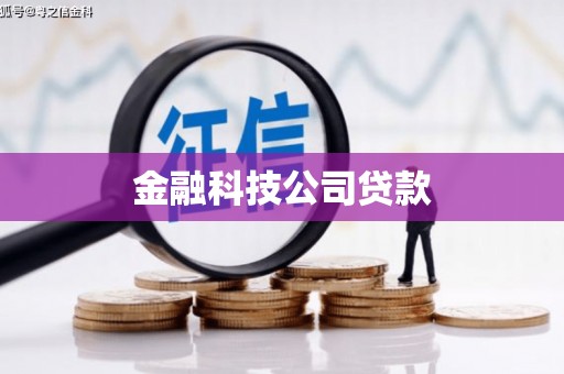 金阳金融科技公司贷款