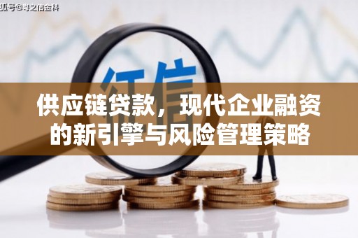 金阳供应链贷款，现代企业融资的新引擎与风险管理策略