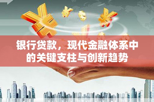 金阳银行贷款，现代金融体系中的关键支柱与创新趋势