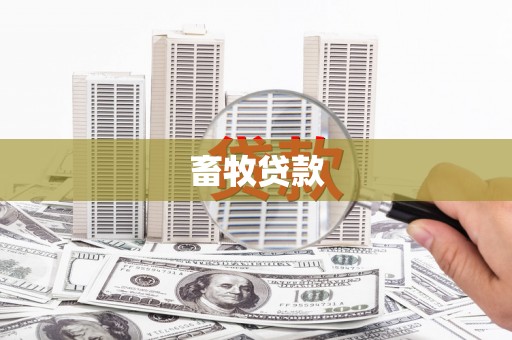 金阳畜牧贷款