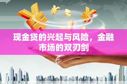 金阳现金贷的兴起与风险，金融市场的双刃剑