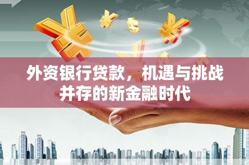 金阳外资银行贷款，机遇与挑战并存的新金融时代