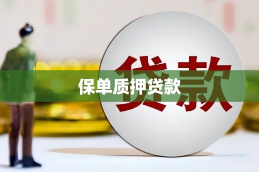 金阳保单质押贷款