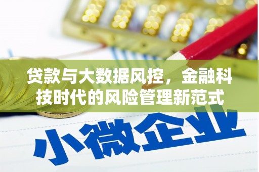 金阳贷款与大数据风控，金融科技时代的风险管理新范式